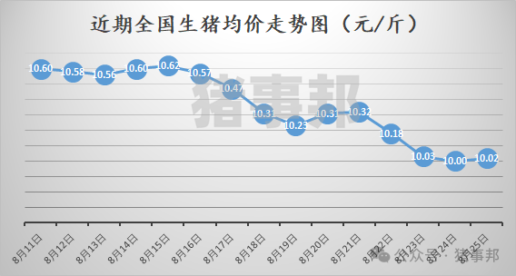 猪事邦||8月25日猪价汇总（周猪价10.16元/斤，环比跌3.6%，同比涨18.9%！）