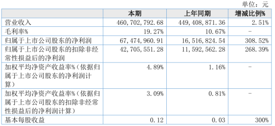 国航远洋2024年上半年净利6747.5万同比增长308.52% 投资收益增加