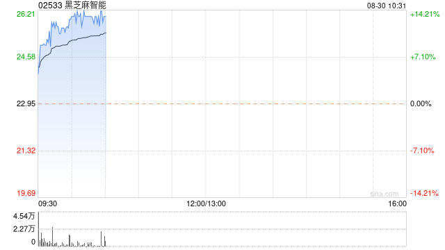 黑芝麻智能现涨逾14%创上市新高 上半年纯利超11亿元