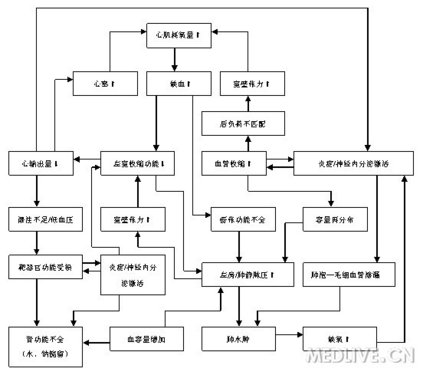 狗狗心力衰竭能活多久与心力衰竭能活多久的原因