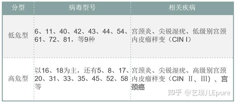 hpv高危型有哪些,说明性生活乱吗和hpv高危型有哪些的详细介绍