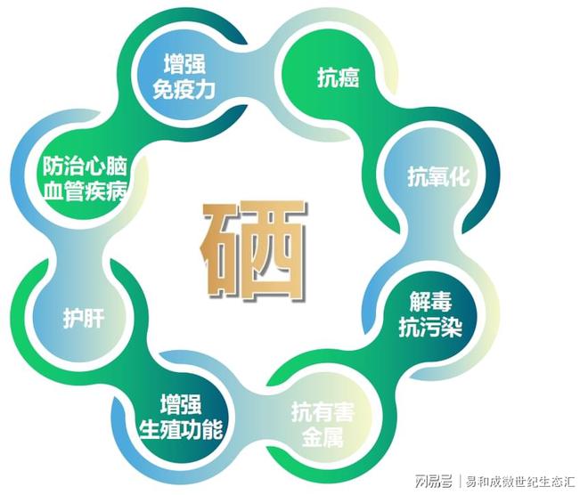 如何补硒才最科学以及如何补硒的情况分析