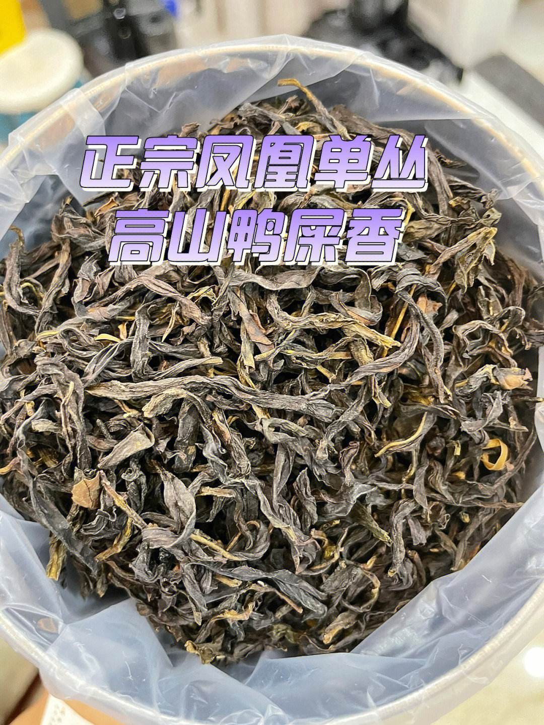 鸭屎香为什么叫鸭屎香是什么茶类和鸭屎香为什么叫鸭屎香的详细介绍