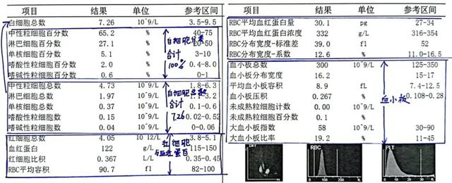 血常规能查出哪些疾病肝肾功能检查有关血常规能查出哪些疾病的详细内容