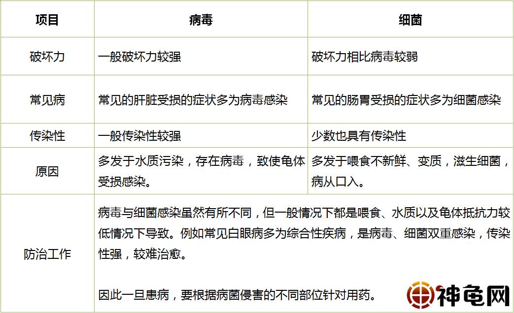 分享感冒如何判断是病毒还是细菌感染，关于感冒如何判断是病毒还是细菌的详情