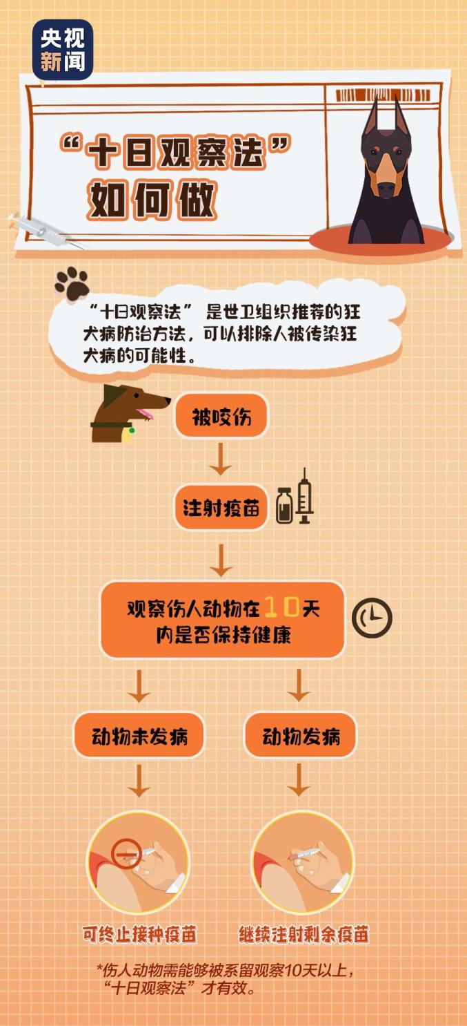 狂犬病潜伏期多久可以确定没事了和狂犬病潜伏期多久的情况说明