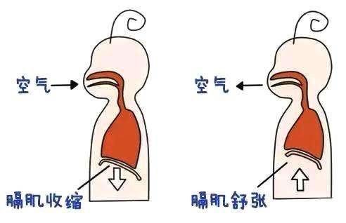 为什么老是打嗝停不下来有关为什么老是打嗝的详细内容