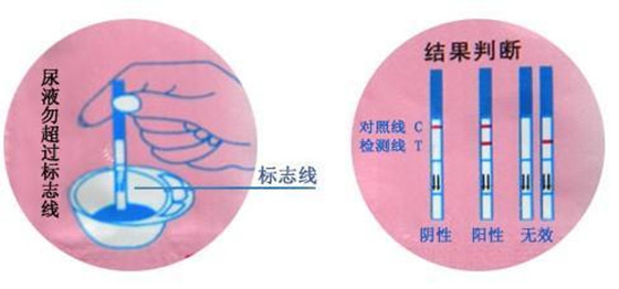 如何知道自己怀孕了?与如何知道自己怀孕了的原因