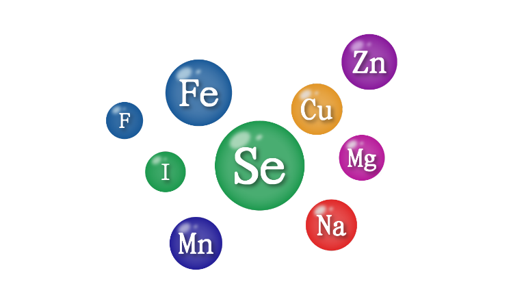 微量元素有哪些食物，关于微量元素有哪些详细情况
