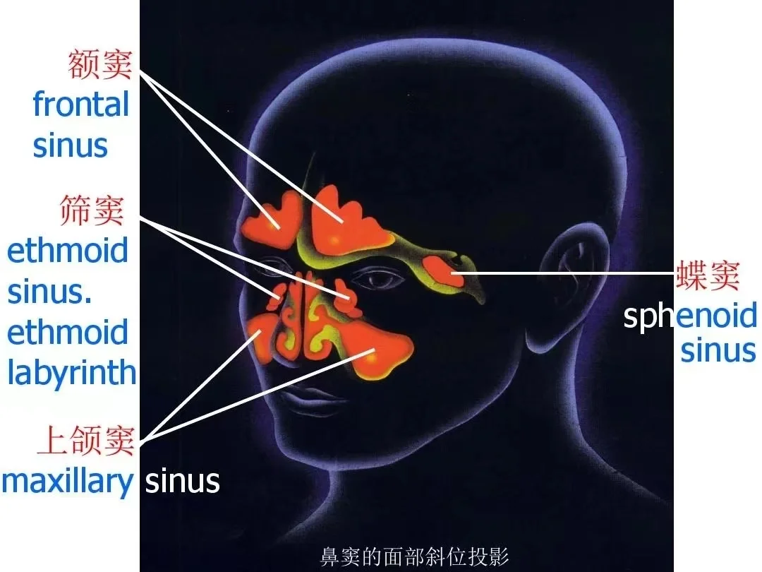 额窦炎症状表现有哪些吃什么药和额窦炎症状表现有哪些的情况说明