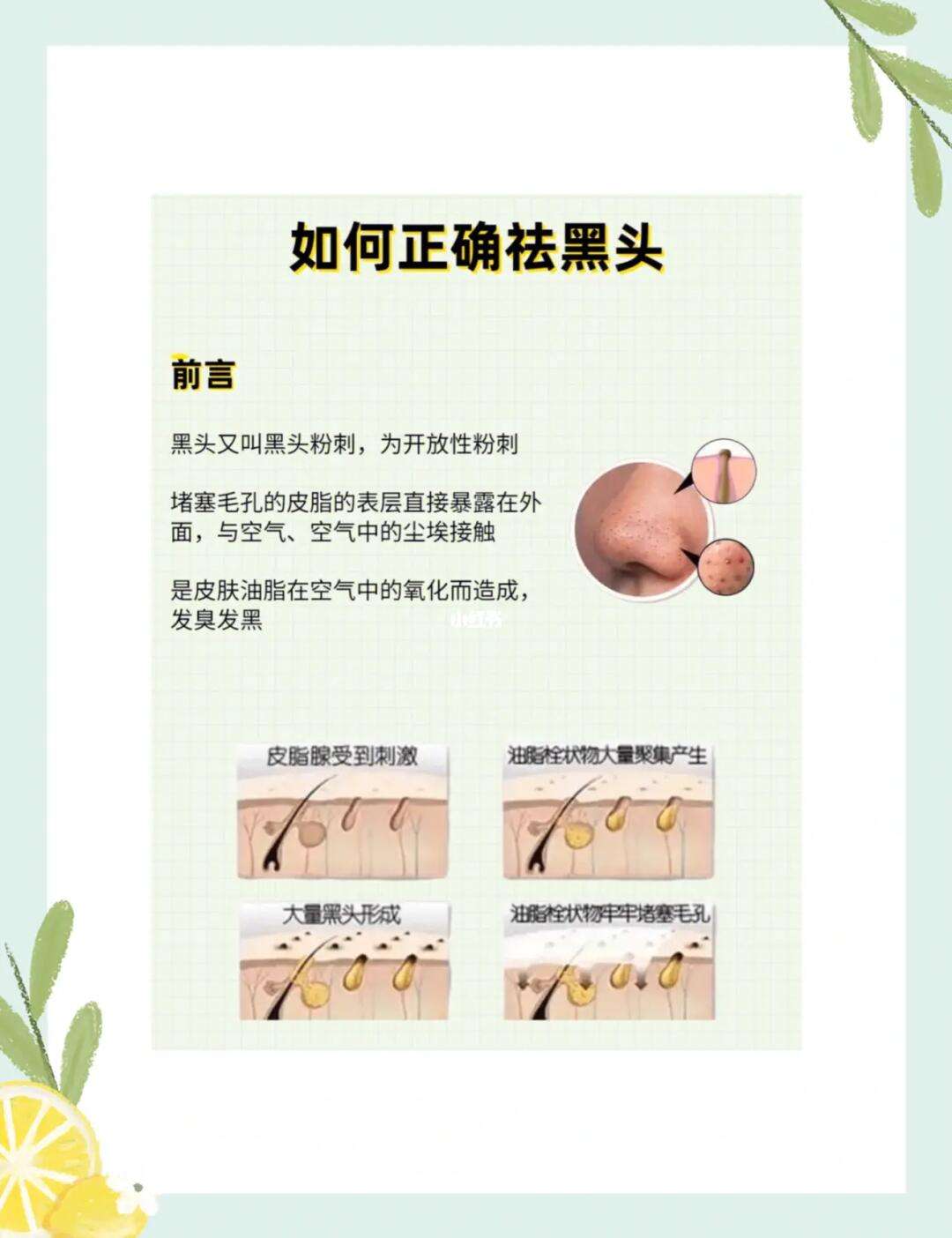 如何去除黑头粉刺收缩毛孔的方法有关如何去除黑头的详细内容