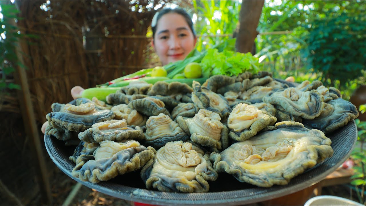 海蘑菇是不是海鲜有关海蘑菇是什么的详细内容