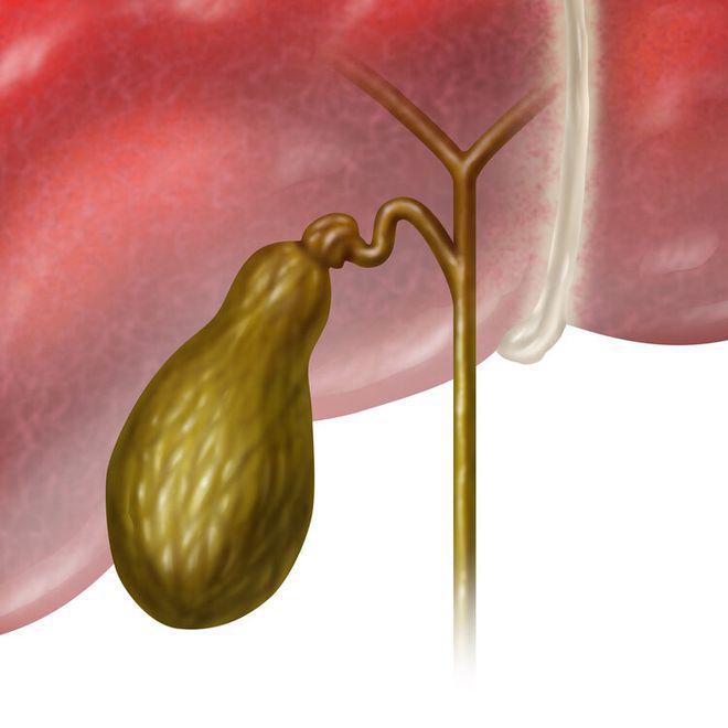 十二指肠胰腺胆囊切除能活多久与胆囊切除能活多久的原因