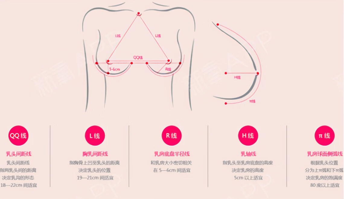 分享胸部如何变大变挺，关于胸部如何变大的详情