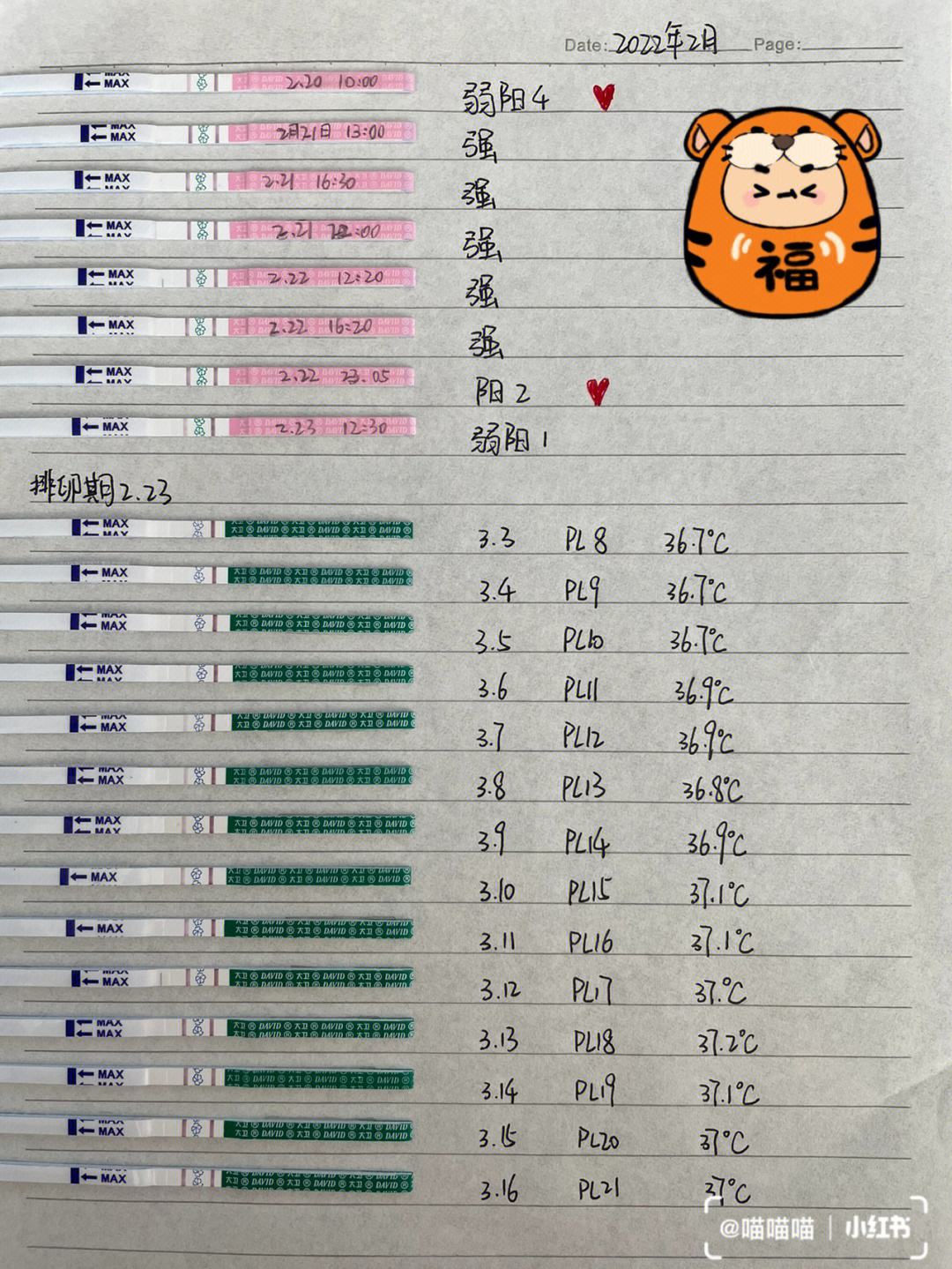 分享怀孕多久能测试出来用测孕棒，关于怀孕多久能测试出来的详情