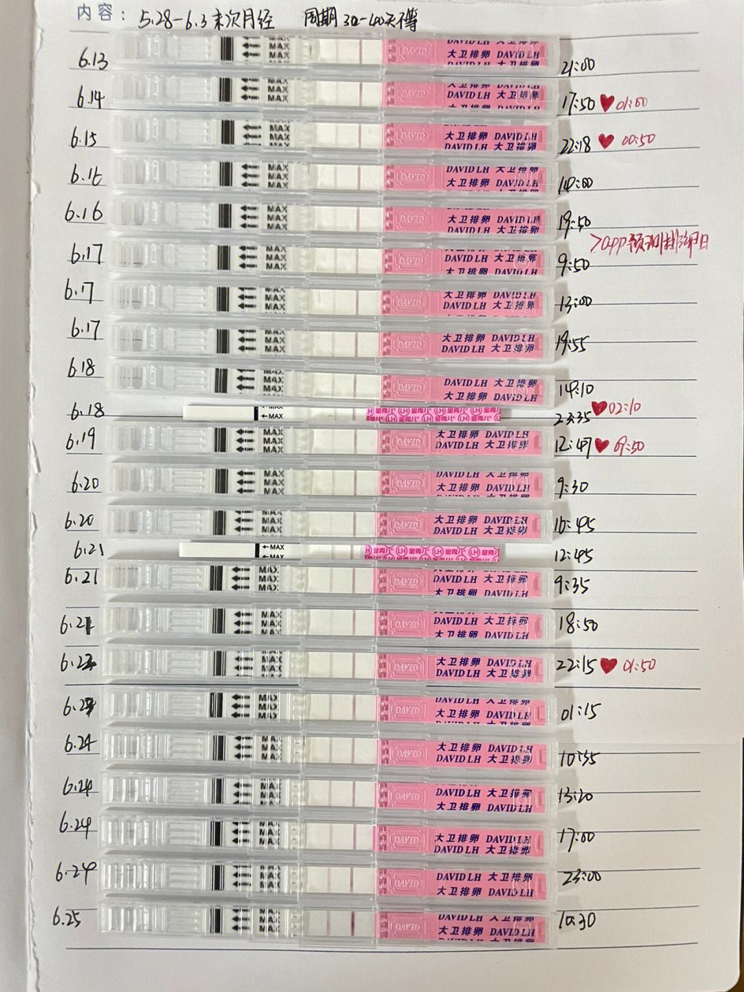 排卵试纸强阳后受孕的最佳时间以及排卵试纸强阳后多久排卵的情况分析