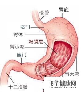 急性胃炎有哪些症状表现与急性胃炎有哪些症状的原因