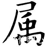 尸字旁的字有哪些啊以及尸字旁的字有哪些的情况分析