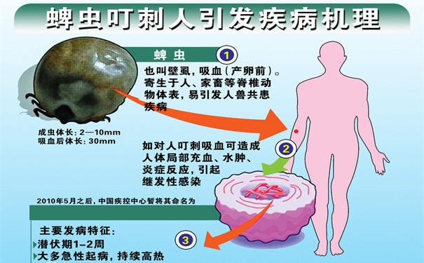 如何鉴别被蜱虫咬了皮肤图片与如何鉴别被蜱虫咬了的原因