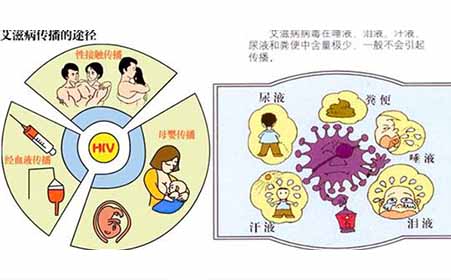 艾滋病的传播途径有哪些有唾液吗与艾滋病的传播途径有哪些的原因