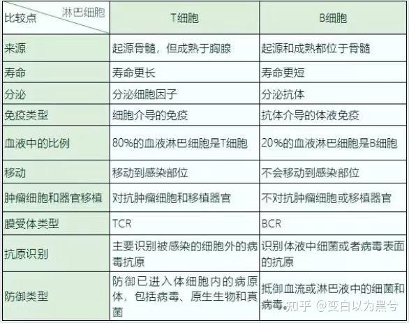 全身免疫系统疾病有哪些和免疫系统疾病有哪些的情况说明