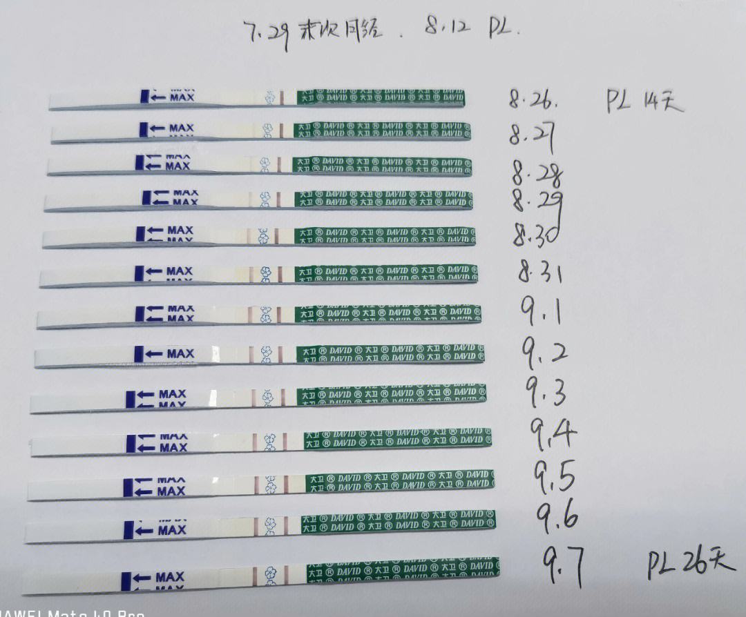 hcg试纸怀孕多久能测出来以及hcg怀孕多久能测出来的情况分析