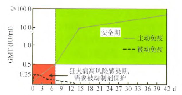 狗咬了多久过安全期打针用多少钱包括狗咬了多久过安全期的详细情况