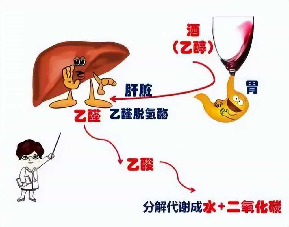 喝了头孢多久可以喝酒酿蛋吗以及喝了头孢多久可以喝酒的情况分析