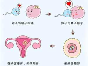 如何判断怀孕了有哪些症状包括如何判断怀孕的具体内容