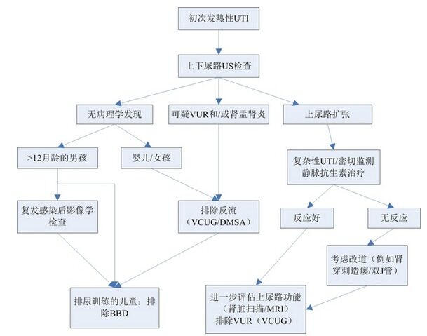 小女孩为什么会尿路感染和为什么会尿路感染的详细介绍