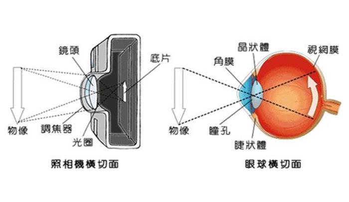 热点近视如何矫正视力,暖暖城堡简笔画,城堡简笔画以及近视如何矫正视力的分享