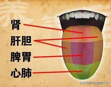 口臭如何治疗断根包括口臭如何治疗的具体内容