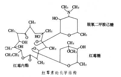 头条大环内酯类抗生素有哪些药物，有关大环内酯类抗生素有哪些的详情