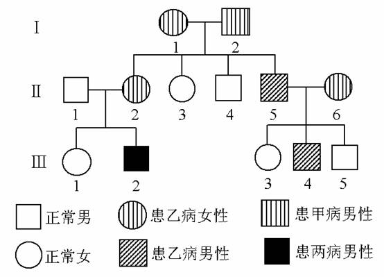 心脏遗传病有哪些和遗传病有哪些的详细介绍