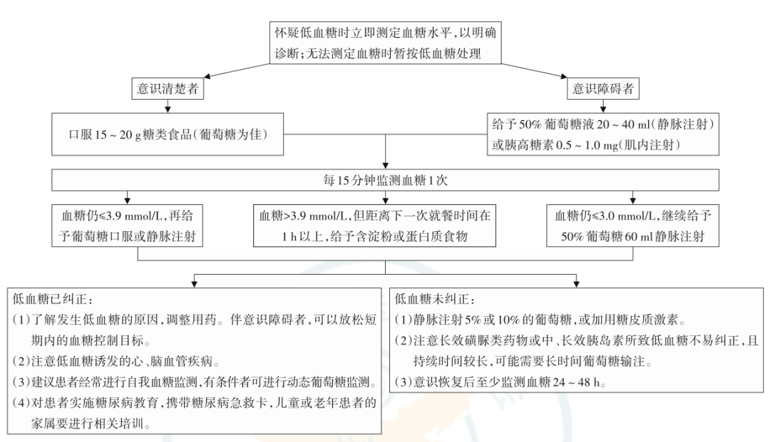 正常人为什么会低血糖有关为什么会低血糖的详细内容