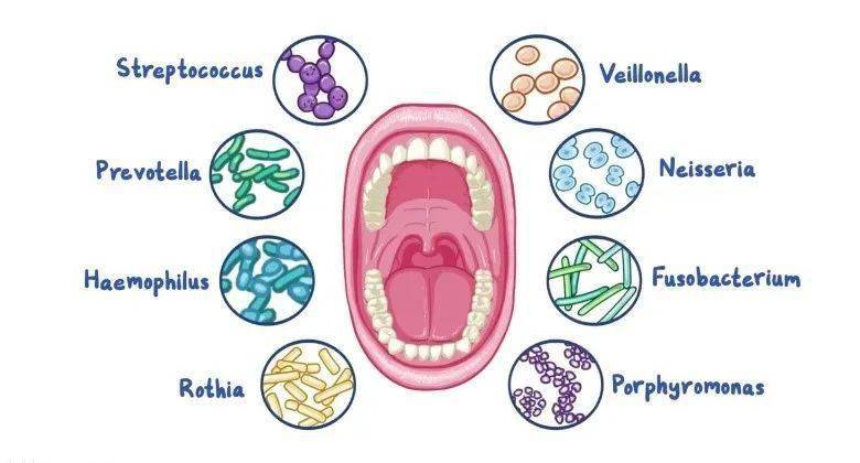 分享为什么会口臭长期口臭，关于为什么会口臭的详情