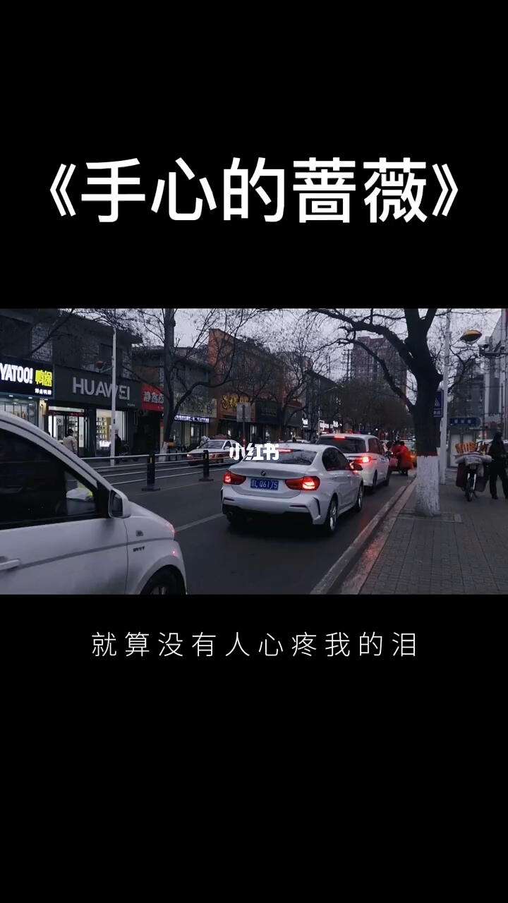 张遮和雪宁为什么不能在一起和为什么不能在一起的情况说明