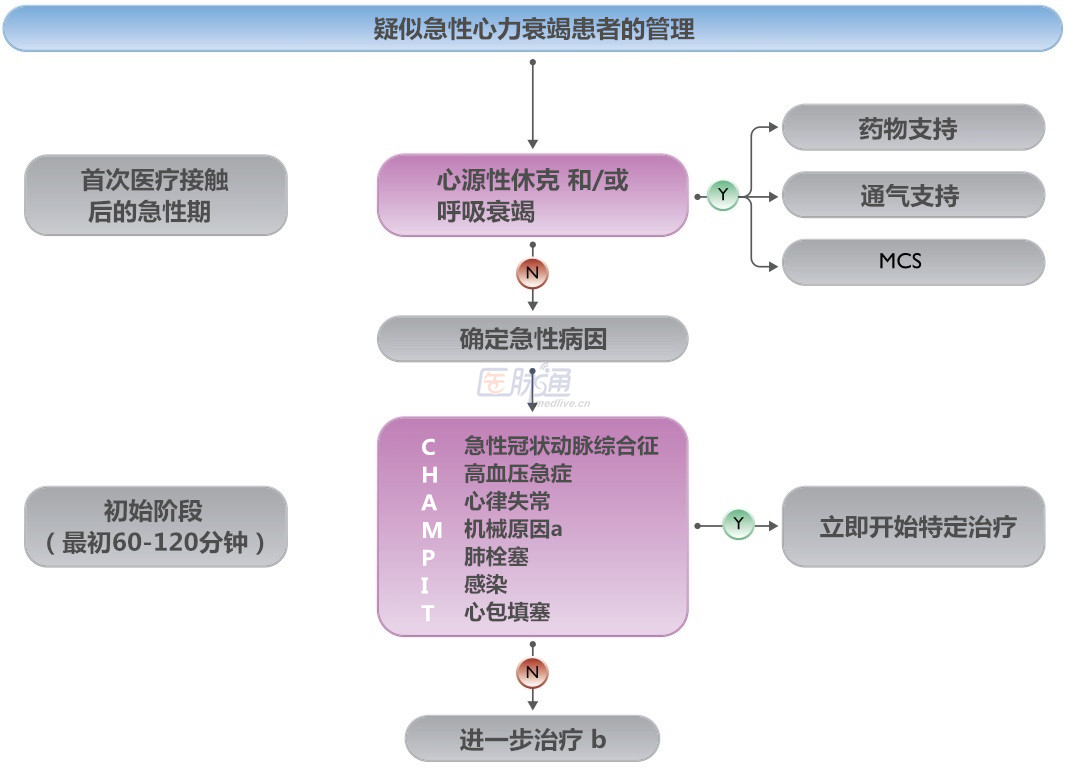 轻度心肌缺血5个早期症状和心脏缺血如何治疗的情况说明