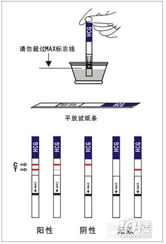 多久可以测出怀孕了早孕试纸包括多久可以测出怀孕的详细情况