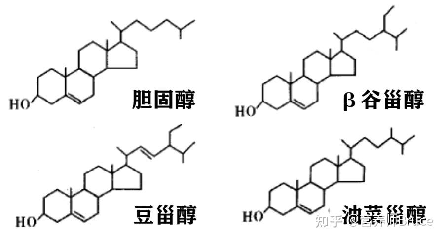 如何降低胆固醇最好的食物和如何降低胆固醇的情况说明