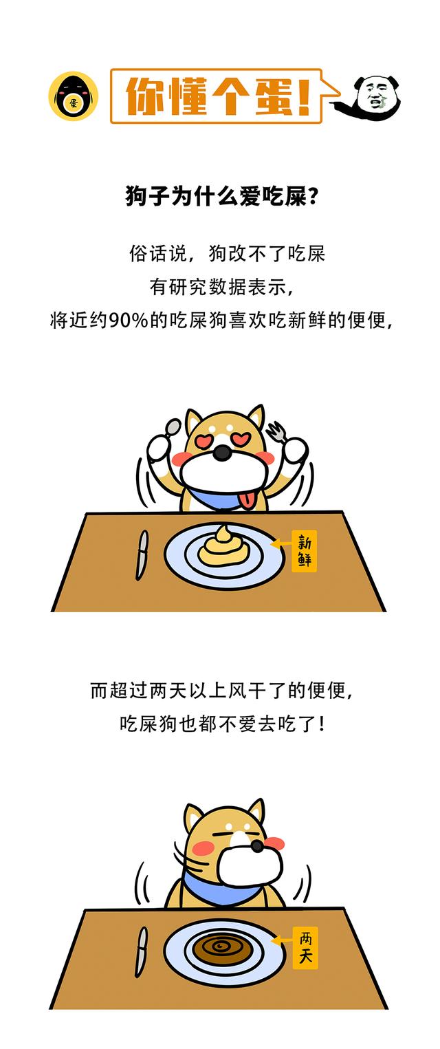 头条狗为什么吃屎不会生病，有关狗为什么吃屎的详情