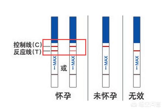 18号同房多久可以用验孕棒测出怀孕和同房多久可以用验孕棒测出怀孕的情况说明